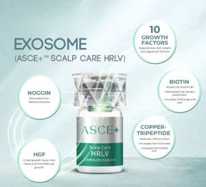 EXOSOMES ASCE PLUS HRLV - 20mg Single Vial